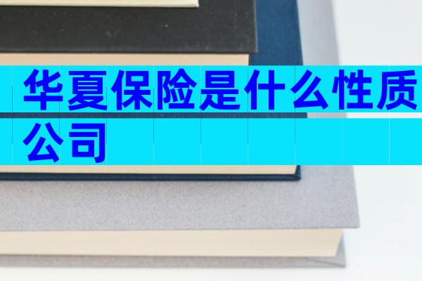 华夏保险是什么性质公司