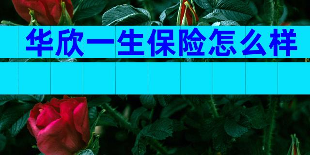 华欣一生保险怎么样