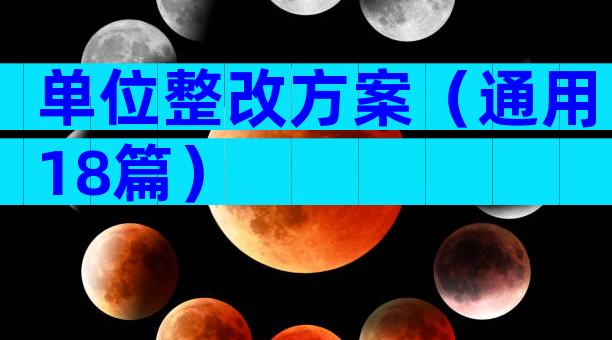 单位整改方案（通用18篇）