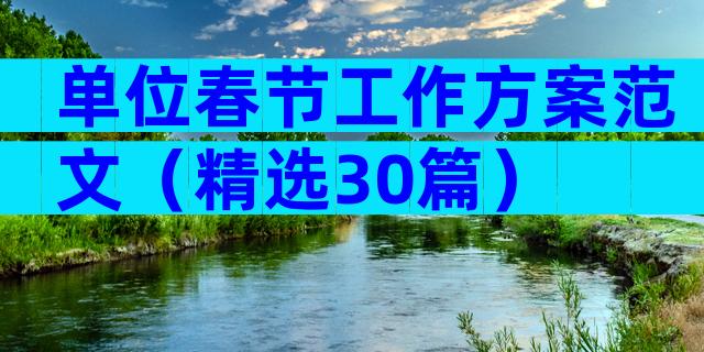 单位春节工作方案范文（精选30篇）