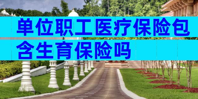 单位职工医疗保险包含生育保险吗