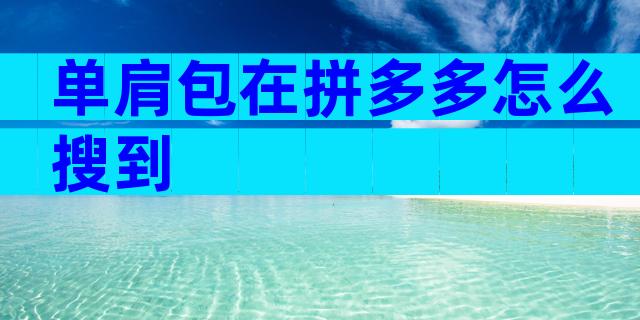 单肩包在拼多多怎么搜到