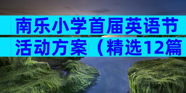 南乐小学首届英语节活动方案（精选12篇）