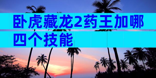 卧虎藏龙2药王加哪四个技能