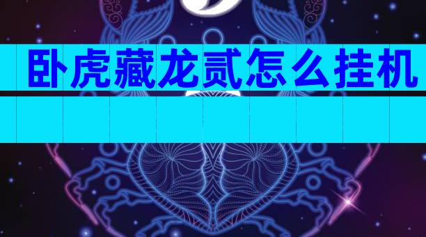 卧虎藏龙贰怎么挂机