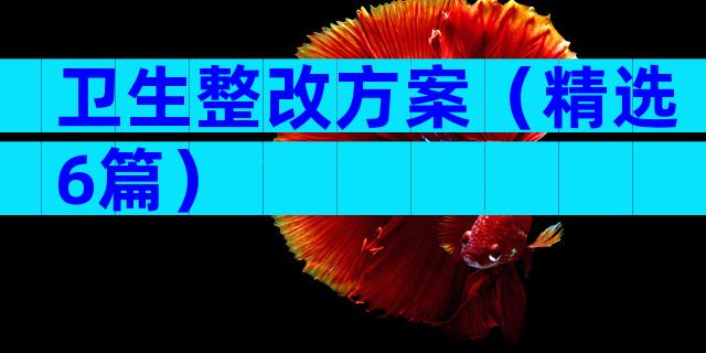 卫生整改方案（精选6篇）
