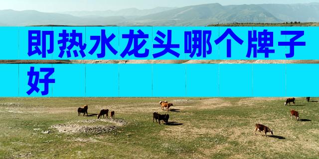 即热水龙头哪个牌子好