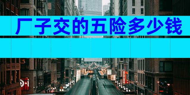 厂子交的五险多少钱