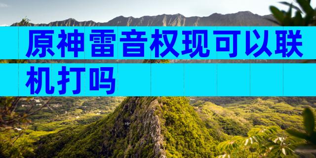 原神雷音权现可以联机打吗