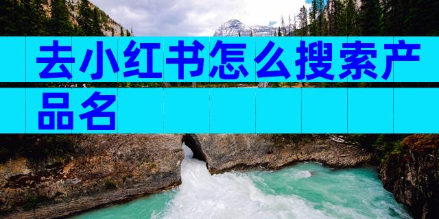 去小红书怎么搜索产品名