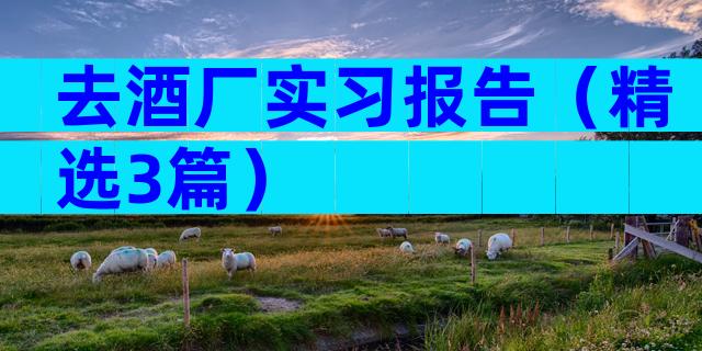 去酒厂实习报告（精选3篇）