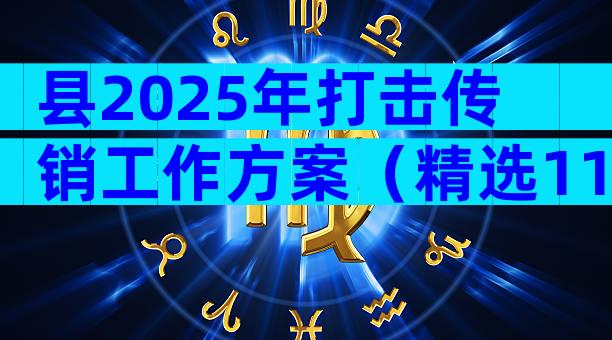 县2025年打击传销工作方案（精选11篇）