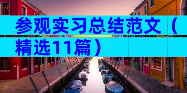 参观实习总结范文（精选11篇）