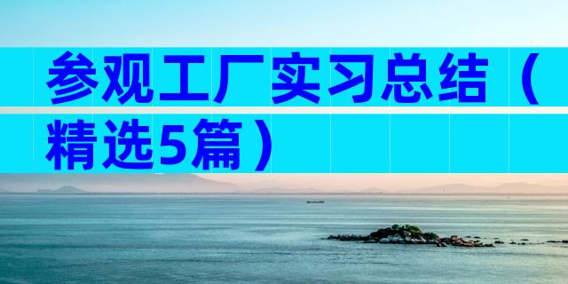 参观工厂实习总结（精选5篇）