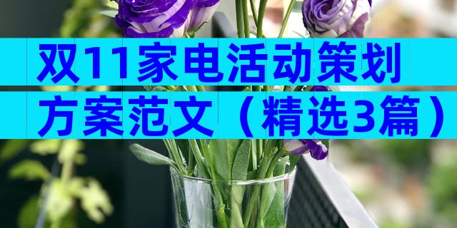 双11家电活动策划方案范文（精选3篇）
