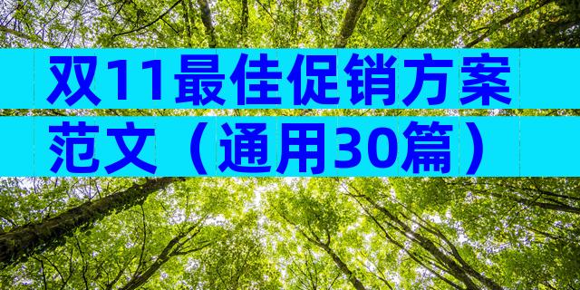 双11最佳促销方案范文（通用30篇）