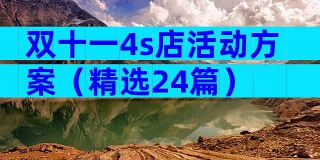 双十一4s店活动方案（精选24篇）