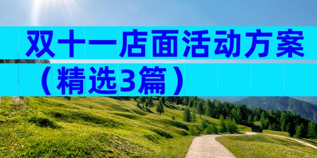 双十一店面活动方案（精选3篇）