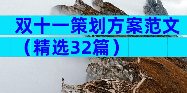 双十一策划方案范文（精选32篇）
