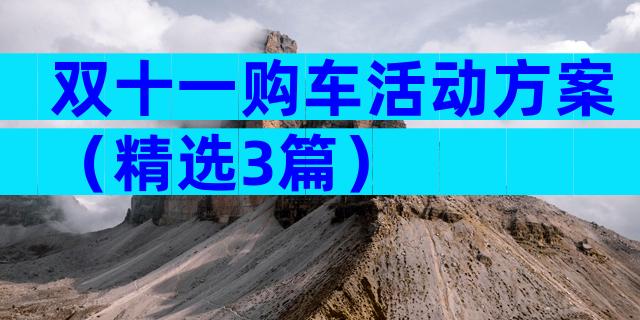 双十一购车活动方案（精选3篇）