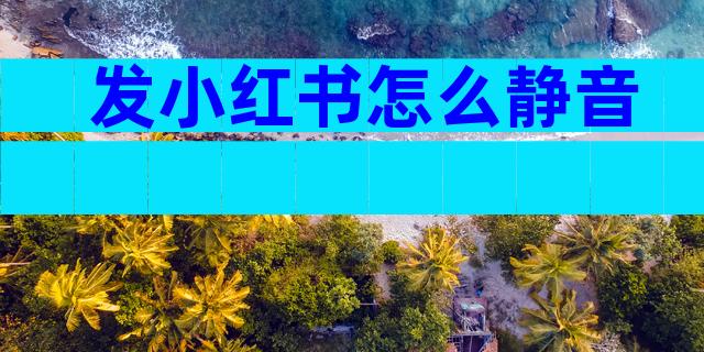 发小红书怎么静音
