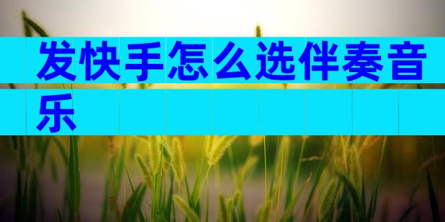 发快手怎么选伴奏音乐