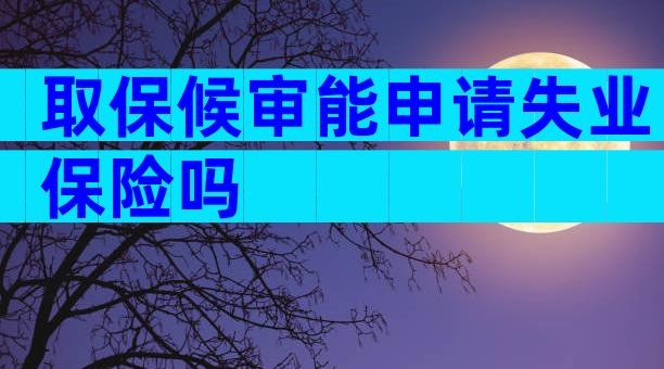 取保候审能申请失业保险吗