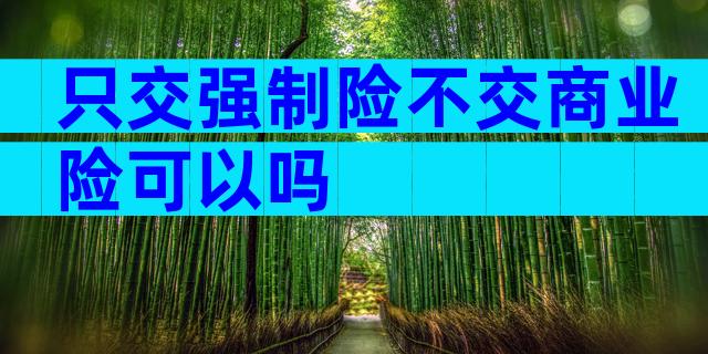只交强制险不交商业险可以吗