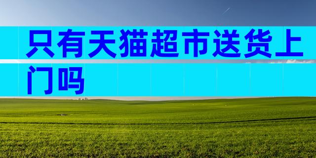 只有天猫超市送货上门吗