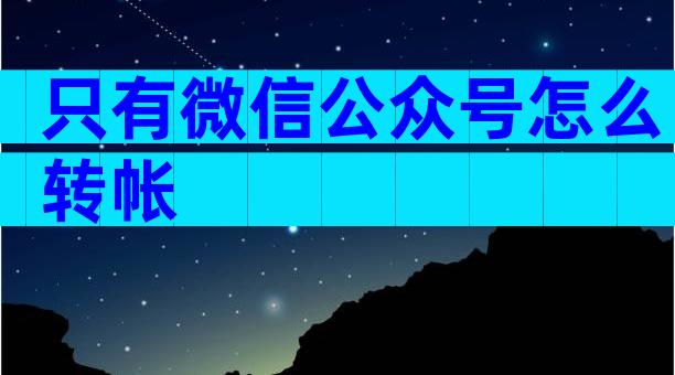 只有微信公众号怎么转帐