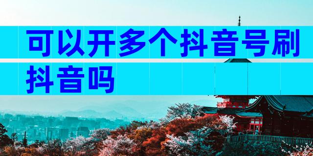 可以开多个抖音号刷抖音吗