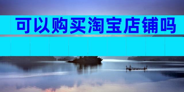 可以购买淘宝店铺吗