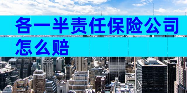 各一半责任保险公司怎么赔
