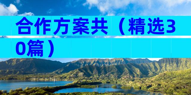 合作方案共（精选30篇）