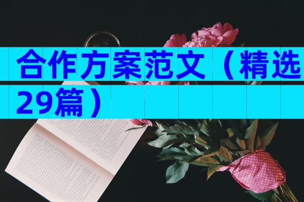 合作方案范文（精选29篇）