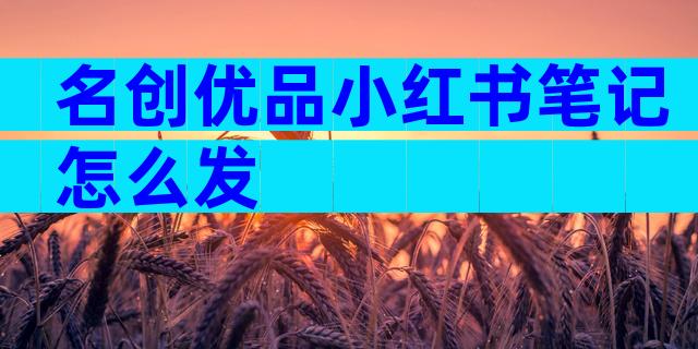 名创优品小红书笔记怎么发