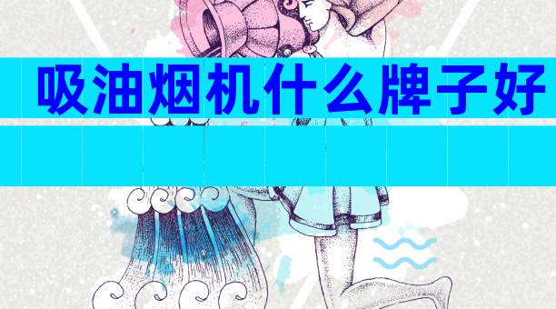 吸油烟机什么牌子好