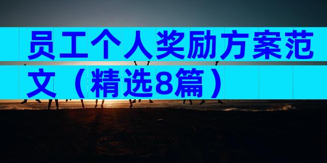 员工个人奖励方案范文（精选8篇）