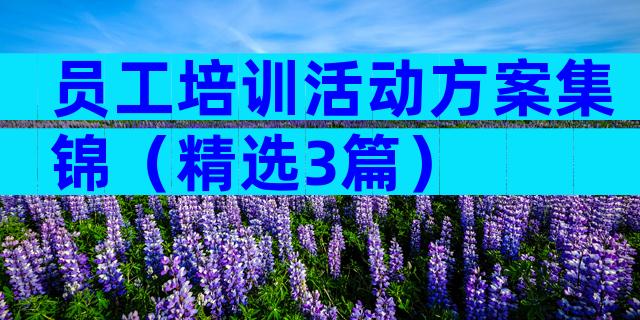员工培训活动方案集锦（精选3篇）