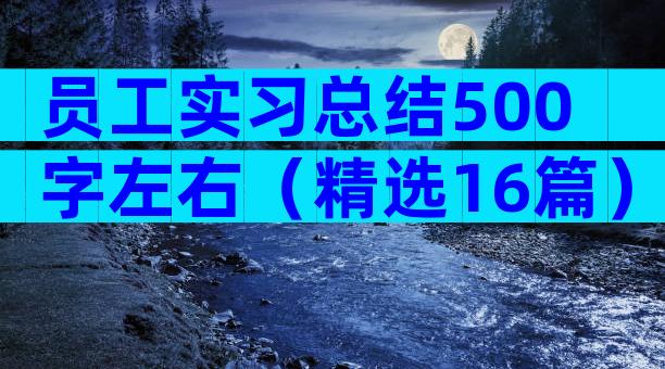 员工实习总结500字左右（精选16篇）