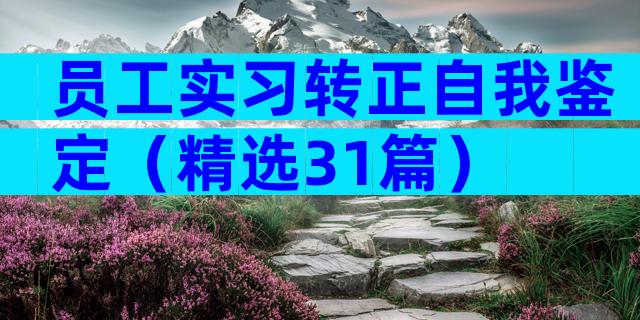 员工实习转正自我鉴定（精选31篇）