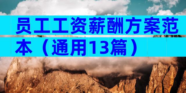 员工工资薪酬方案范本（通用13篇）