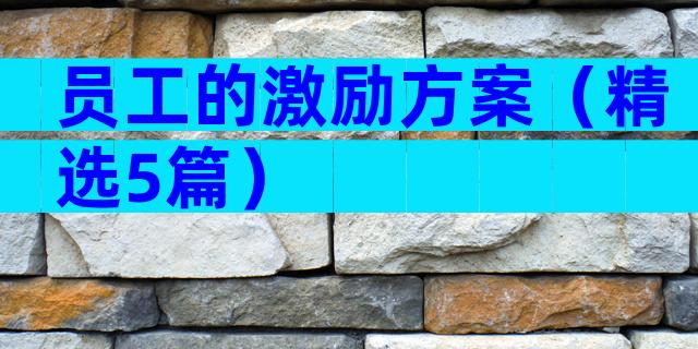 员工的激励方案（精选5篇）