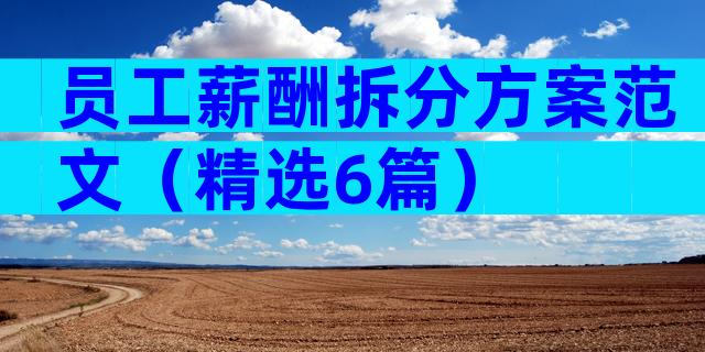 员工薪酬拆分方案范文（精选6篇）