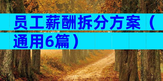 员工薪酬拆分方案（通用6篇）