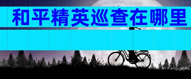 和平精英巡查在哪里