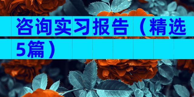 咨询实习报告（精选5篇）