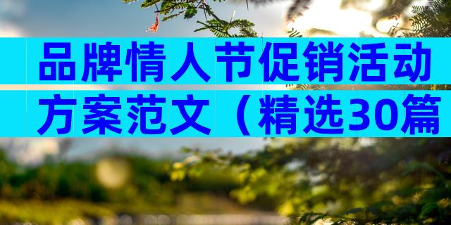 品牌情人节促销活动方案范文（精选30篇）