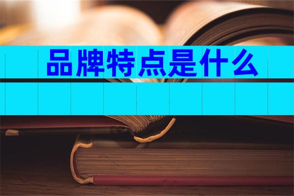 品牌特点是什么