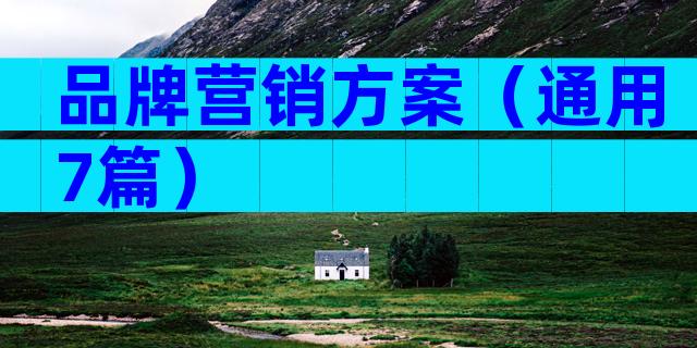 品牌营销方案（通用7篇）